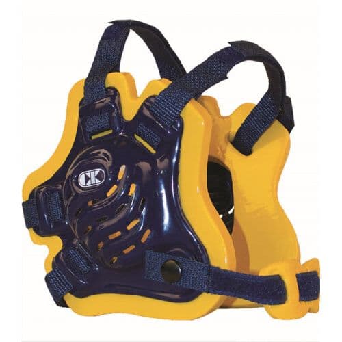 Navy/Gold